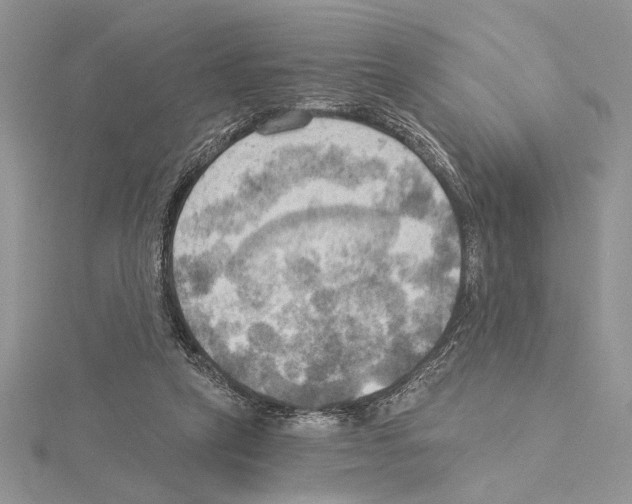 X0000114670257200912021100