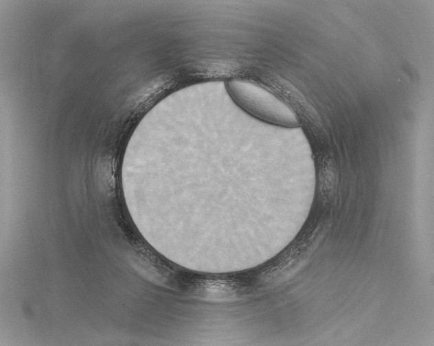 X0000114670264200912021100