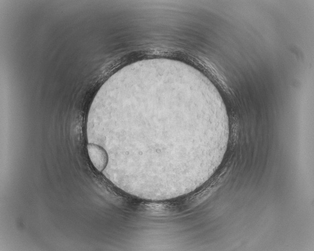 X0000114670265200912021100