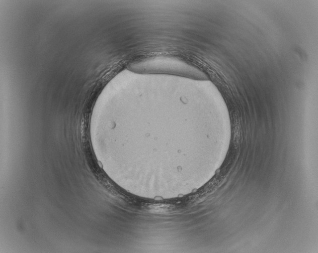 X0000114670268200912021100