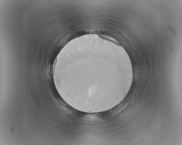 X0000114670280200912021100