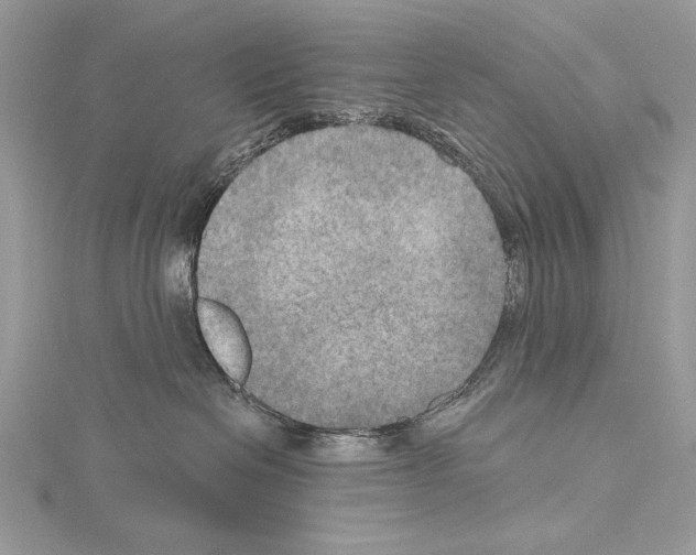 X0000114670286200912021100