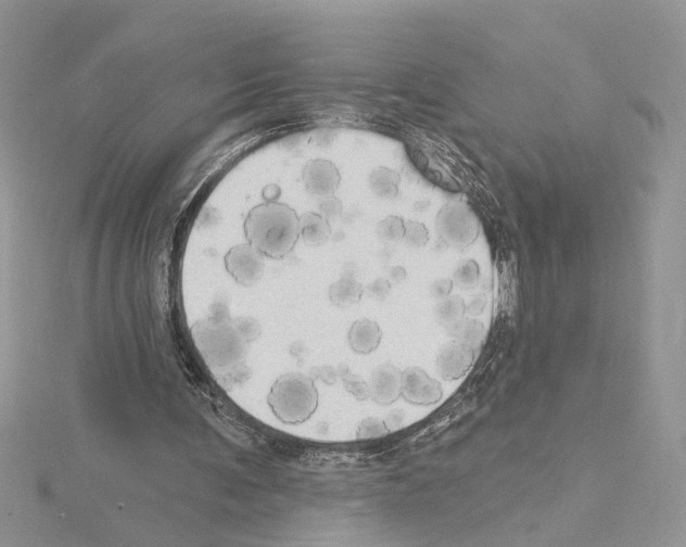 X0000114670291200912021100