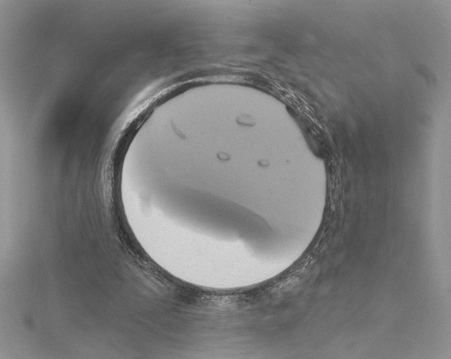 X0000114670295200912021100