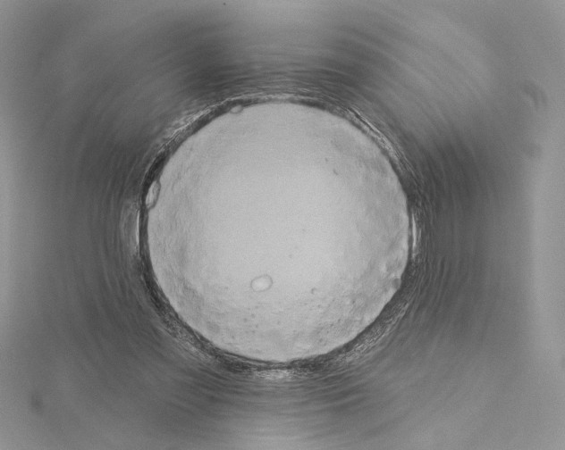 X0000114670301200912021059