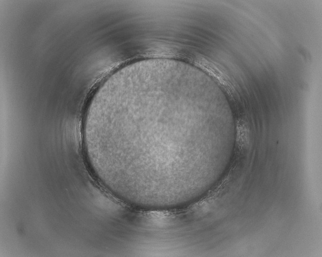 X0000114670302200912021059