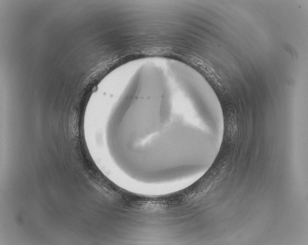 X0000114670303200912021059