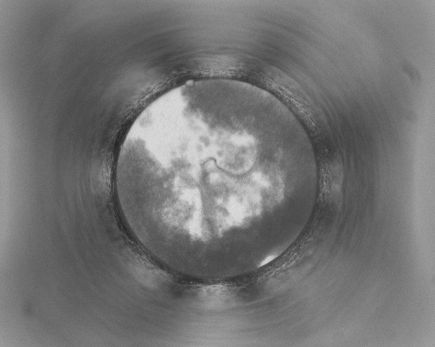 X0000114670309200912021059