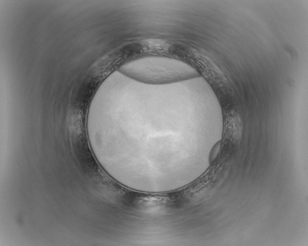 X0000114670323200912021059