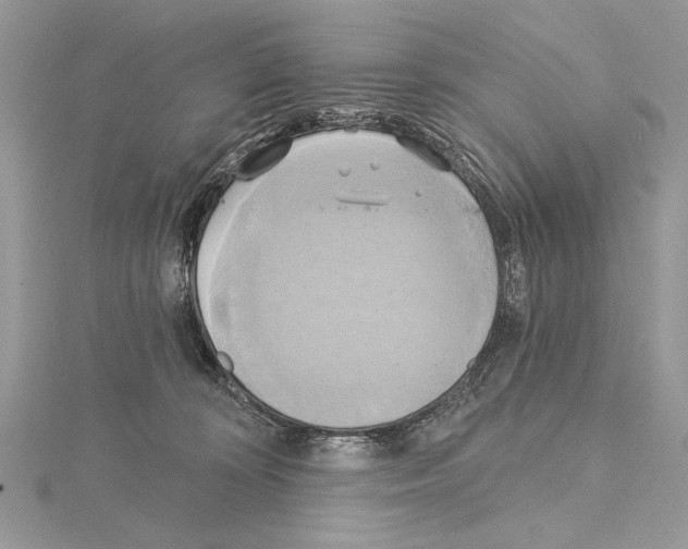 X0000114670324200912021059