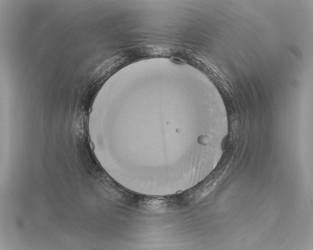 X0000114670325200912021059