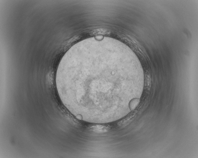 X0000114670326200912021059