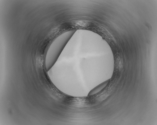 X0000114670328200912021059