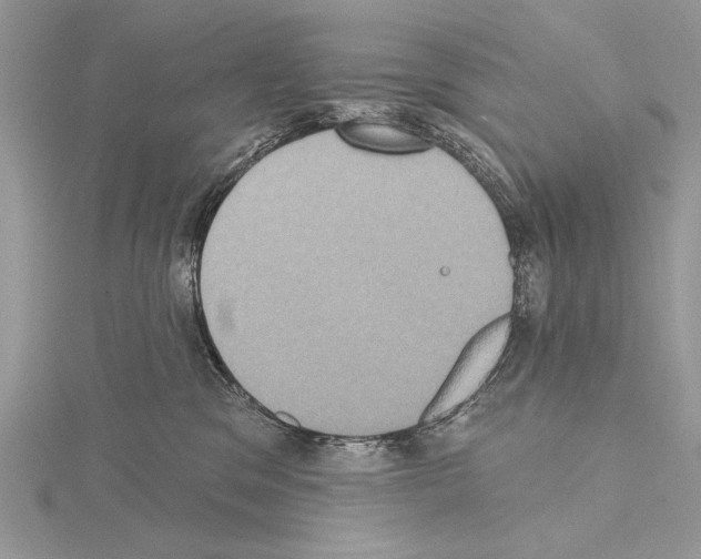 X0000114670329200912021059