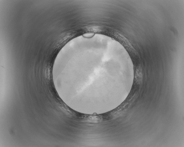 X0000114670330200912021059