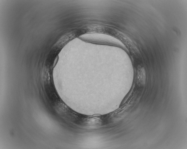 X0000114670333200912021059