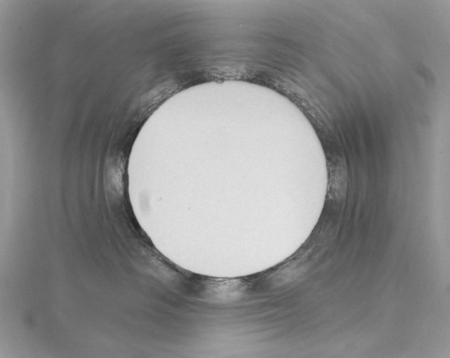 X0000114670334200912021059