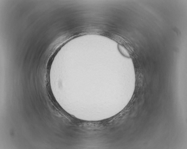 X0000114670338200912021058