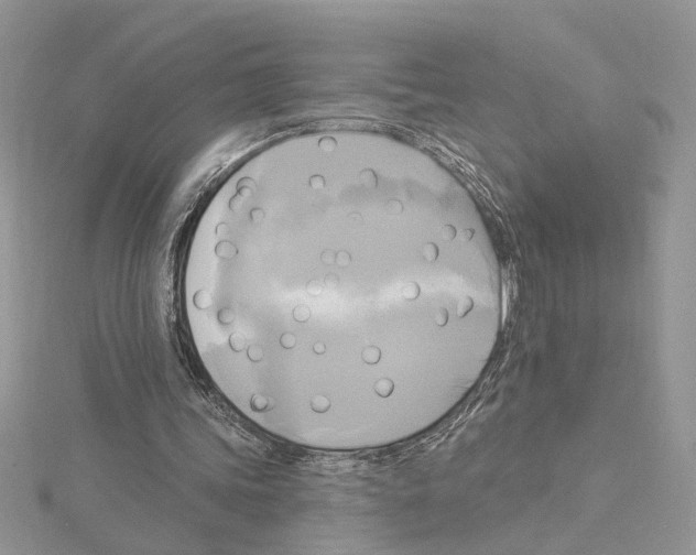 X0000114670339200912021058