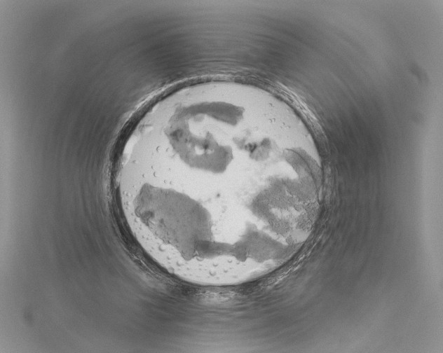 X0000114670346200912021059