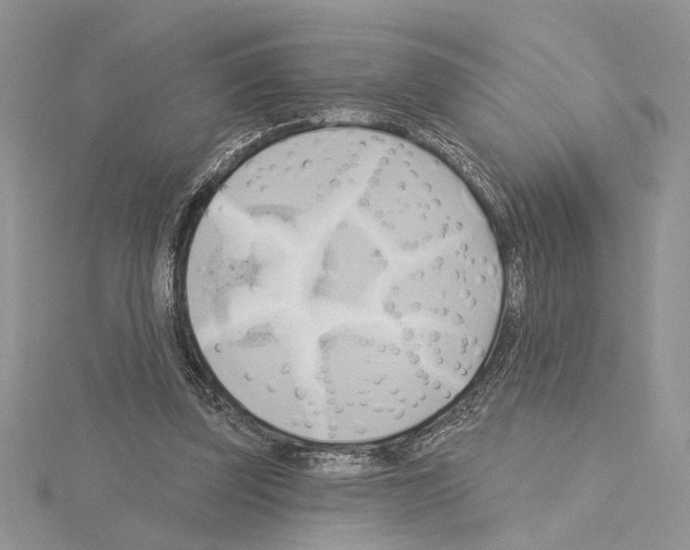 X0000114670347200912021059