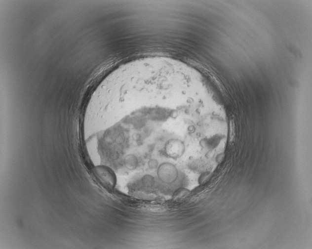 X0000114670349200912021059