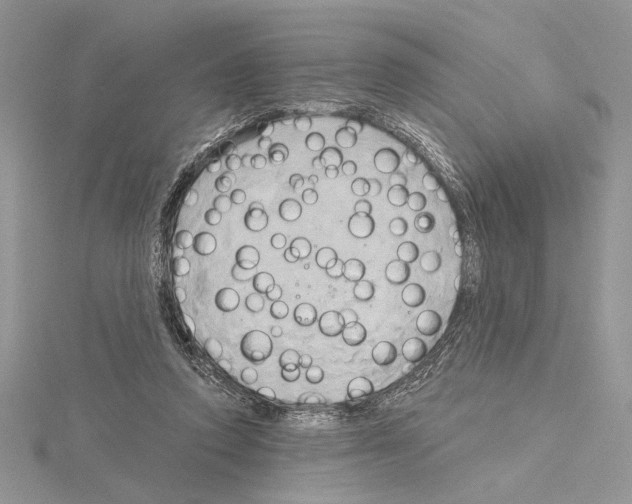 X0000114670354200912021059