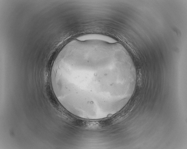 X0000114670355200912021059