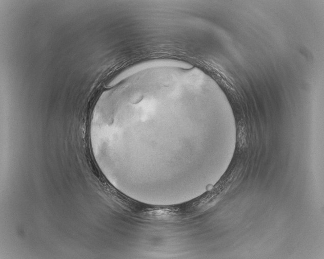 X0000114670365200912021059