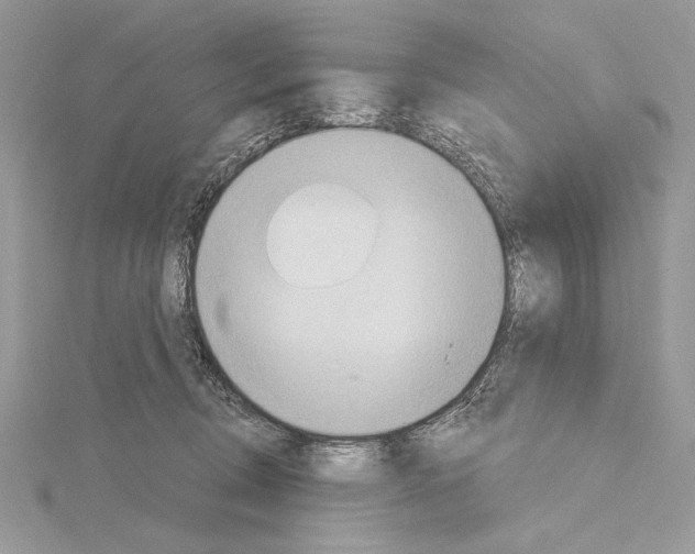 X0000114670370200912021059