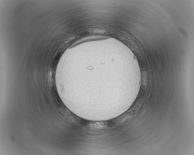 X0000114670378200912021059