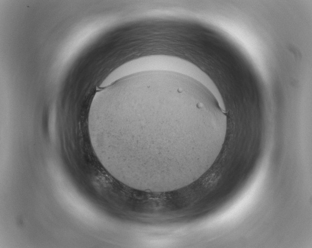 X0000114670382200912021059