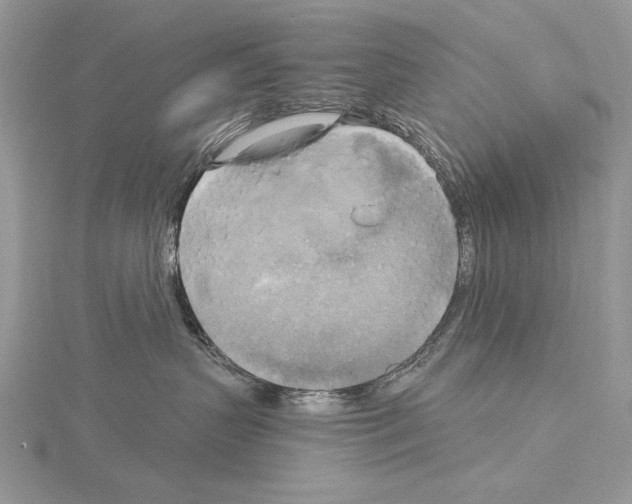 X0000114670383200912021059