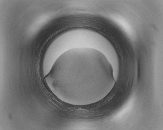 X0000114670387200912021058