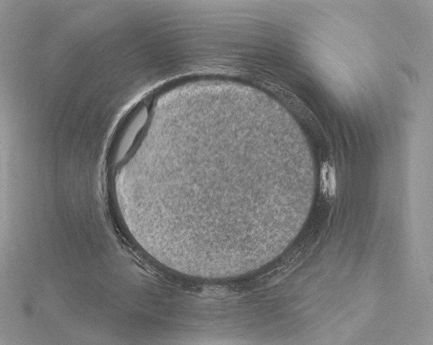 X0000114670388200912021058