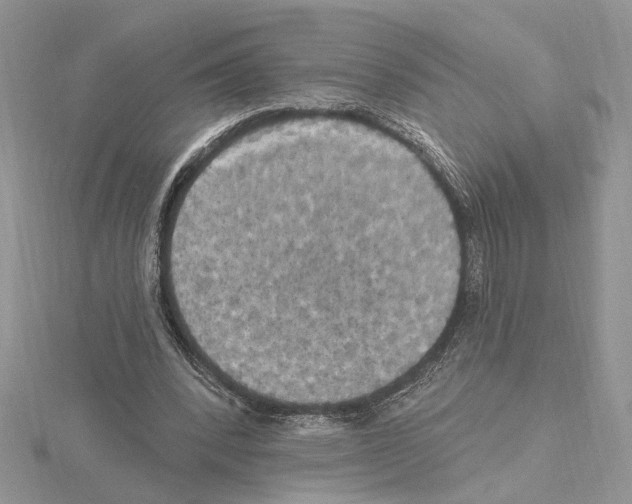 X0000114670392200912021058