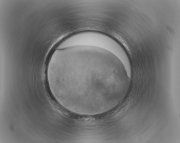 X0000114670395200912021058