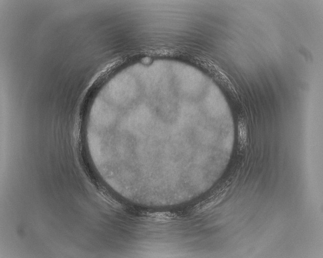 X0000114670396200912021058