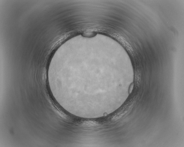 X0000114670397200912021058