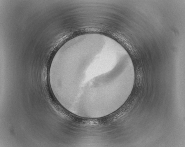 X0000114670398200912021058