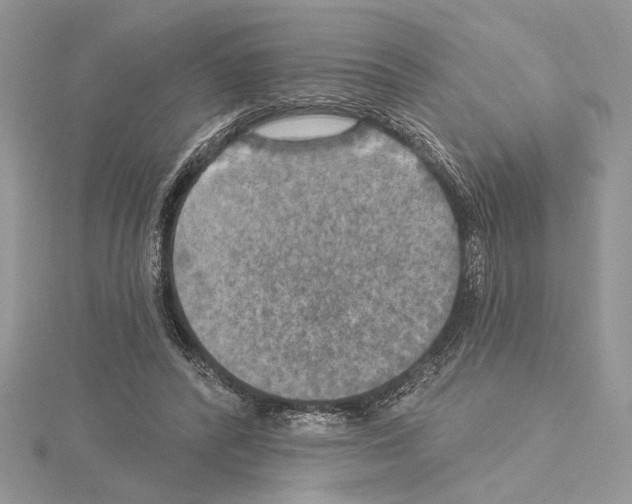 X0000114670400200912021058