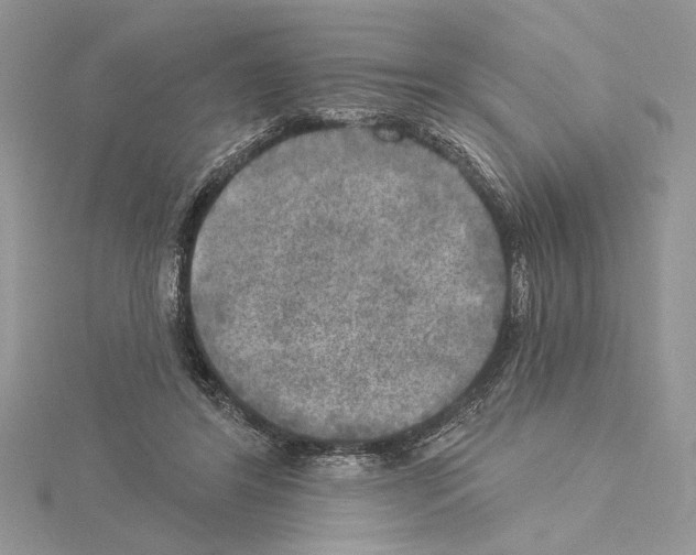 X0000114670404200912021058