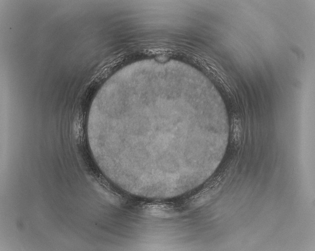 X0000114670408200912021058