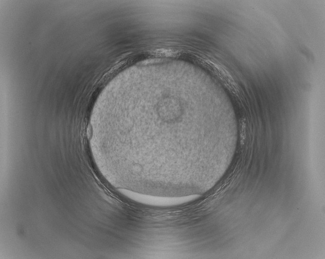 X0000114670409200912021058