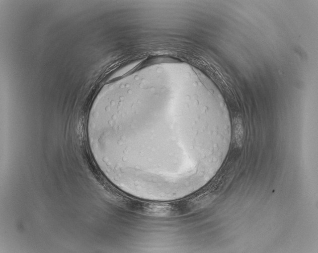 X0000114670410200912021058