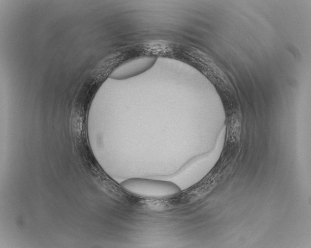 X0000114670417200912021058