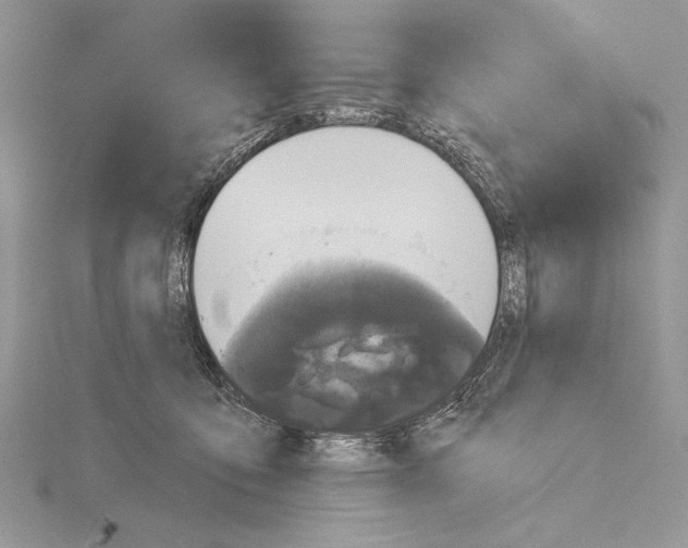 X0000114670419200912021058