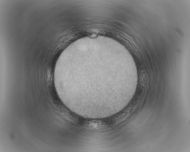 X0000114670420200912021058