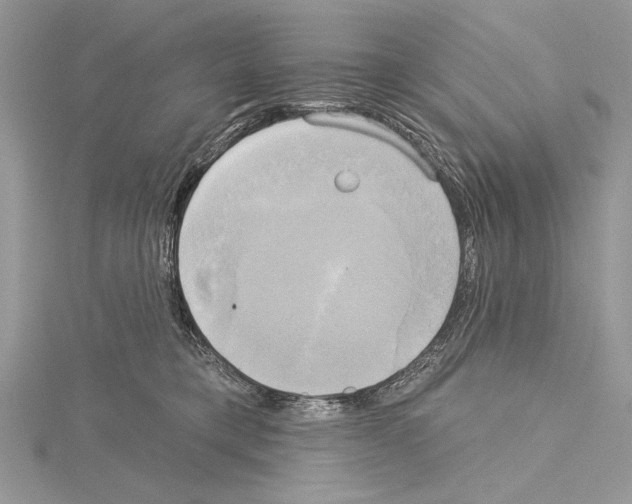 X0000114670421200912021058