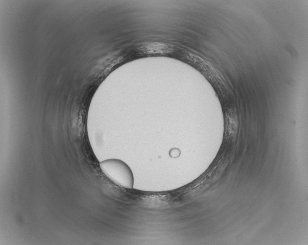 X0000114670422200912021058